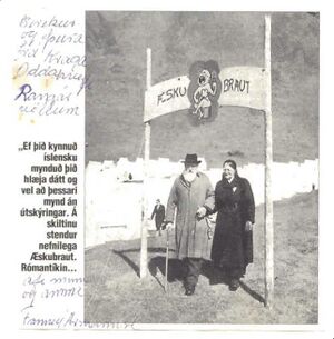 Fa-fjólublátt (2).jpg