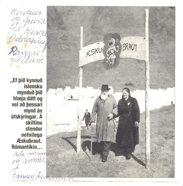 Mynd:Fa-fjólublátt (2).jpg