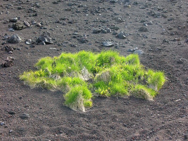 Mynd:Hansueli (36).JPG