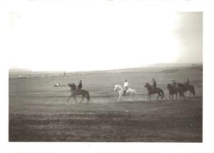 Fa-fjólublátt (45).jpg