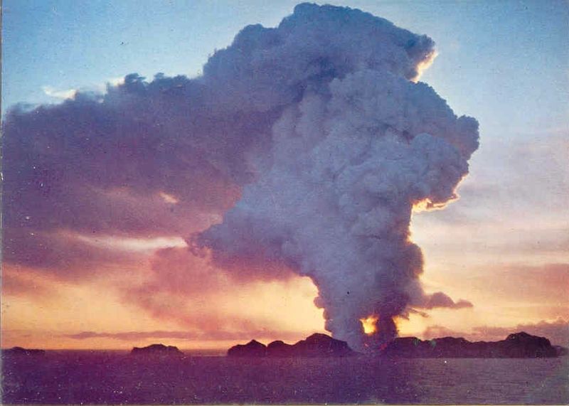 Mynd:Fa-grænt (20).jpg