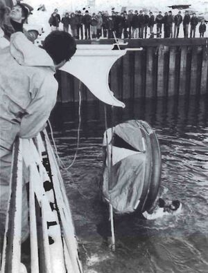 Sigmundsgálgi prófaður Sdbl. 1989.jpg