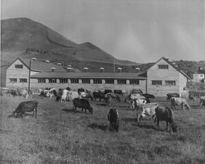 Kúabúið í Dölum.JPG