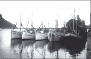 Sæfellið við vestanverða Básaskersbryggju.png