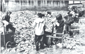 Screen Shot 2017-08-23 at 08.25.54.png