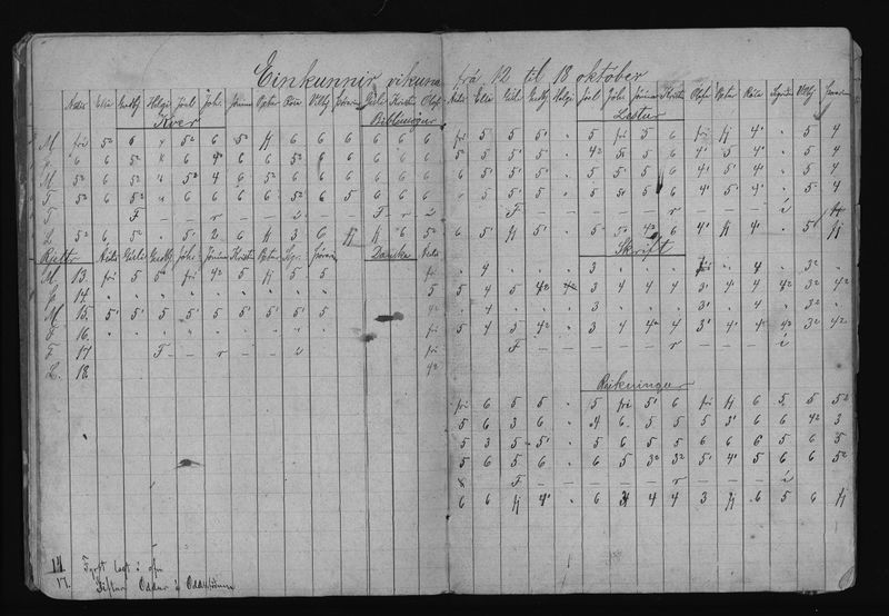 Mynd:Barnaskólinn Vitnisburðabók 1892 - 1895 (11).jpg