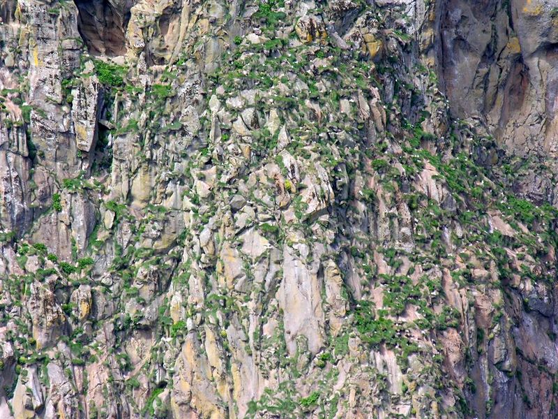 Mynd:Hansueli (106).JPG