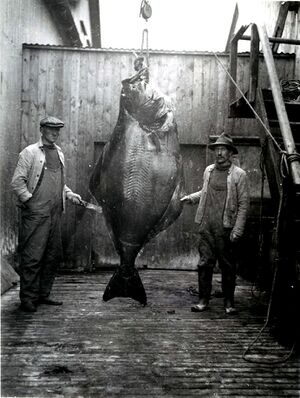 KG-mannamyndir 13017.jpg