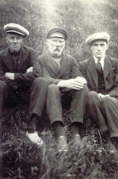 Mynd:Fa-blom (62).jpg