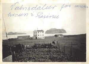 Fa-fjólublátt (58).jpg