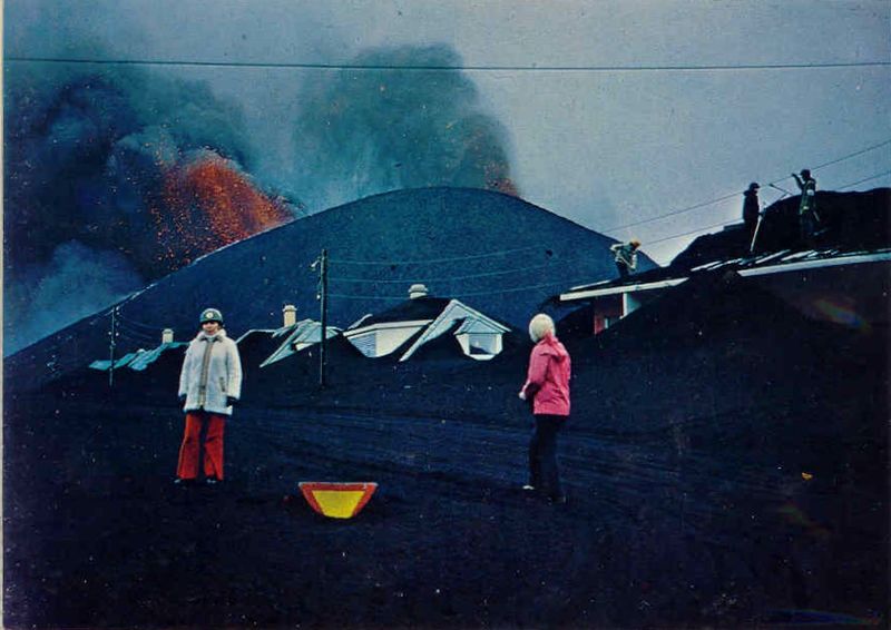 Mynd:Fa-grænt (12).jpg