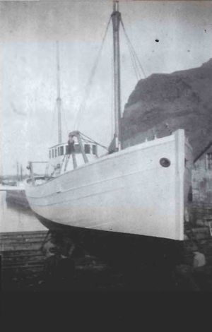 T.h. Vonin VE 113 SDBL. 1988.jpg