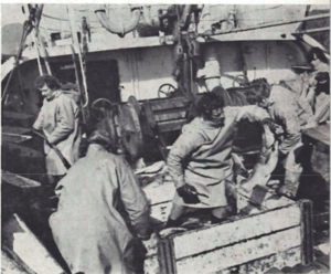 Fiskurinn lifandi blóðgaður í lest.png