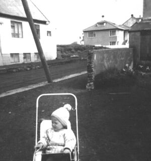 Urdavegur vinaminni thorsteinn.jpg