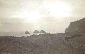 Fa-fjólublátt (20).jpg