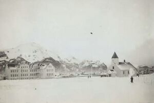 Fa-fjólublátt (57).jpg