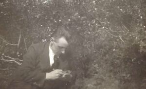 Fa-fjólublátt (64).jpg