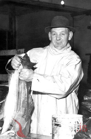 Páll Ingibergsson.jpg