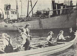 Einu sinni rérum...png