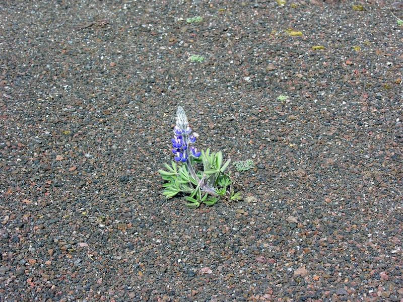 Mynd:Hansueli (96).JPG