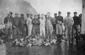 Blik1976 johannes bls195.jpg