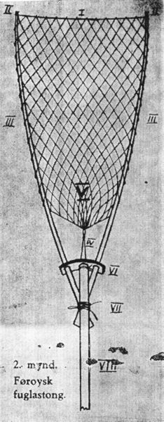 Mynd:Færeyskur háfur.jpg