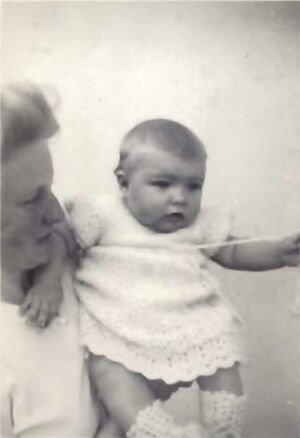 Fa-fjólublátt (31).jpg