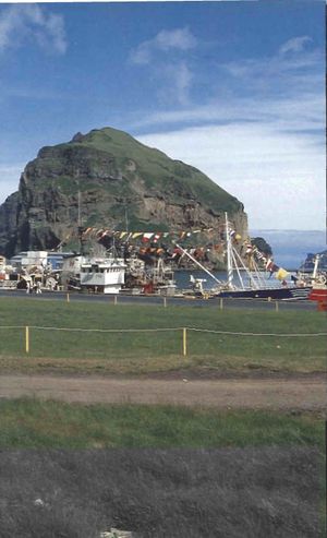 Heiðranir SDBL. 1988.jpg