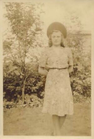 Fa-fjólublátt (26).jpg