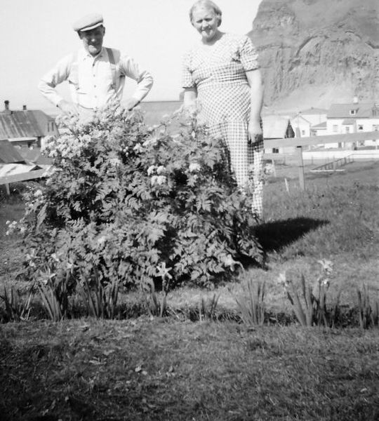 Mynd:Amma og afi.jpg