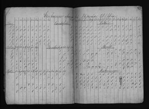 Barnaskólinn Vitnisburðabók 1889 - 1890 (29).jpg