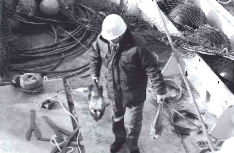 Mynd:Og ekki er nú aflinn Sdbl. 1992.jpg