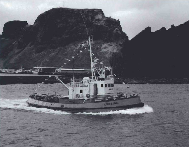 Mynd:Afmælisbarnið Sdbl. 1991.jpg