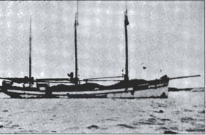 Vesturfarið VN 239.png