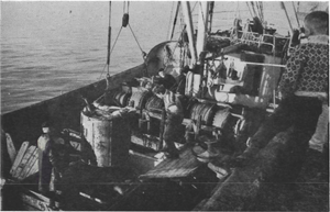 Unnið að löndun úr M Gjafari VE 300.png