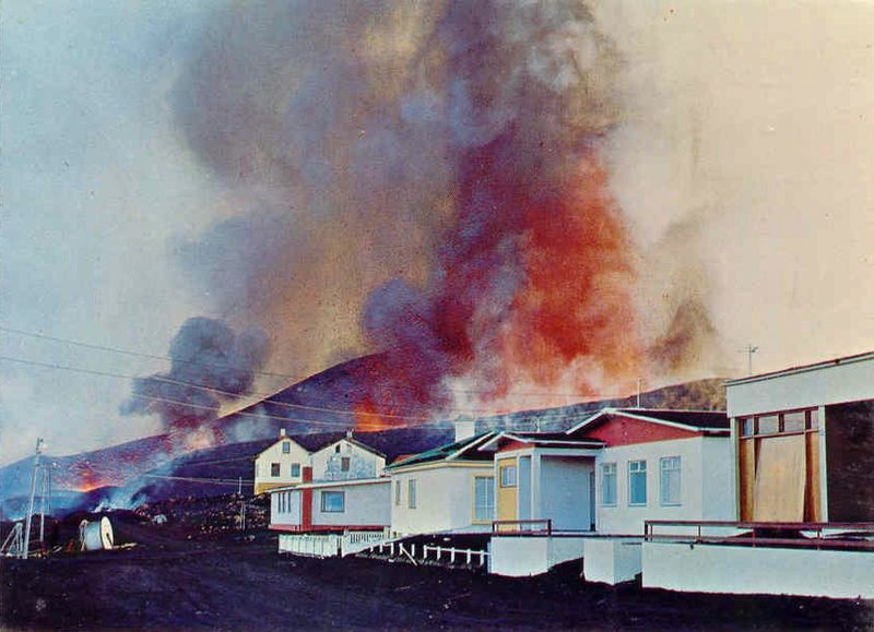 Mynd:Fa-grænt (17).jpg