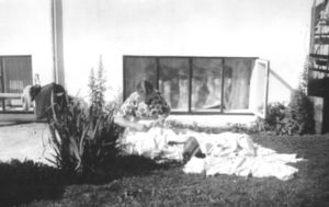 Landagata 16 gardur hja gusta.jpg