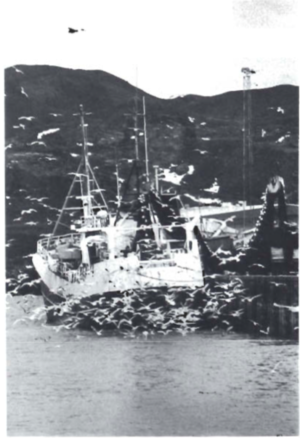 Screen Shot 2017-08-29 at 11.16.36.png