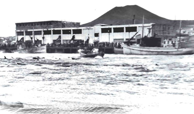 Mynd:Verbúðir í byggingu árið 1958 Sdbl. 1986 result.jpg