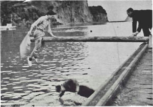 Koddaslagur á Sjómannadaginn.png