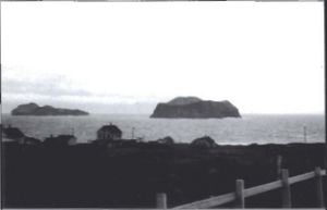 Vetrarmynd tekin við Bessastaði.png