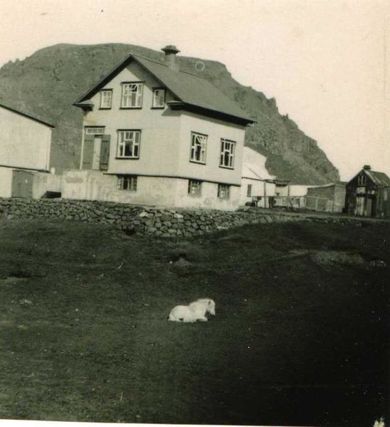 Mynd:Hólmur-Miðstræti 19.jpg