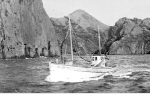 Sigurfari VE-138.jpg