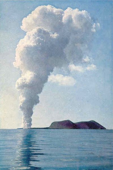 Mynd:Fa-blom (148).jpg