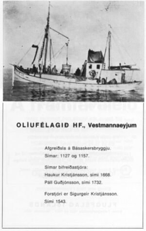 Blik 1978, auglýsingar 3A.jpg