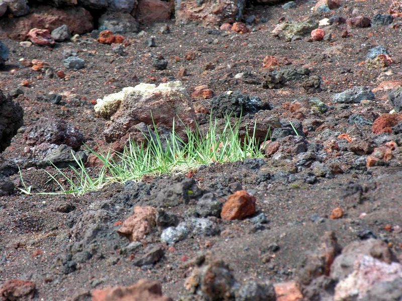 Mynd:Hansueli (84).JPG