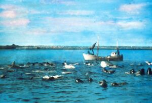 Saga Vestm., E., I., 112gbc.jpg