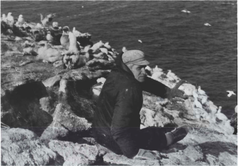 Mynd:Screen Shot 2017-08-16 at 08.35.06.png