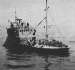 Á sumarsíldveiðum.png