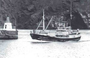 Suðurey fyrir breytingu.jpg